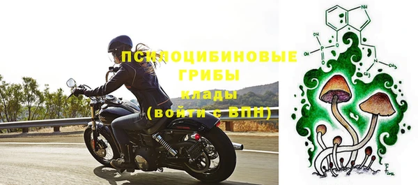 скорость Бородино