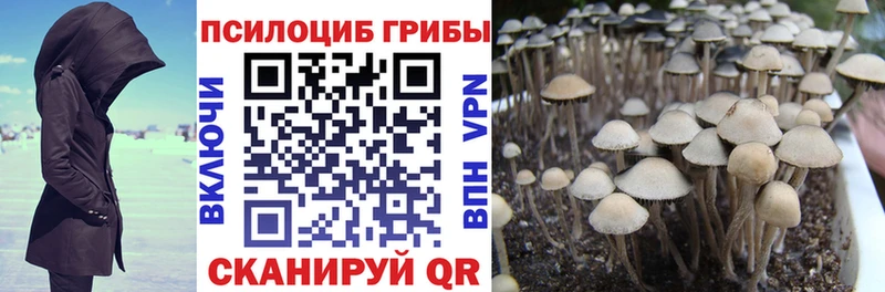 Галлюциногенные грибы Cubensis  Канск 